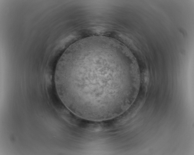 X0000113340615200909151132