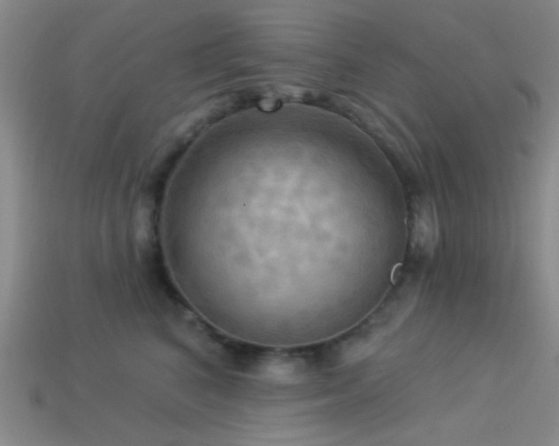 X0000113340616200909151132