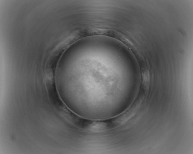 X0000113340617200909151132