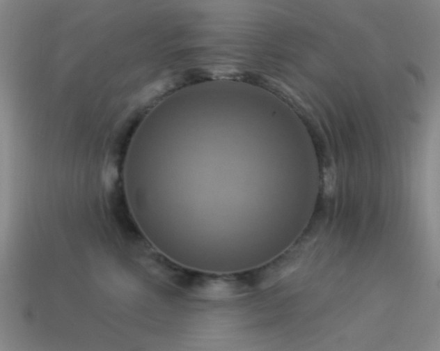 X0000113340618200909151132