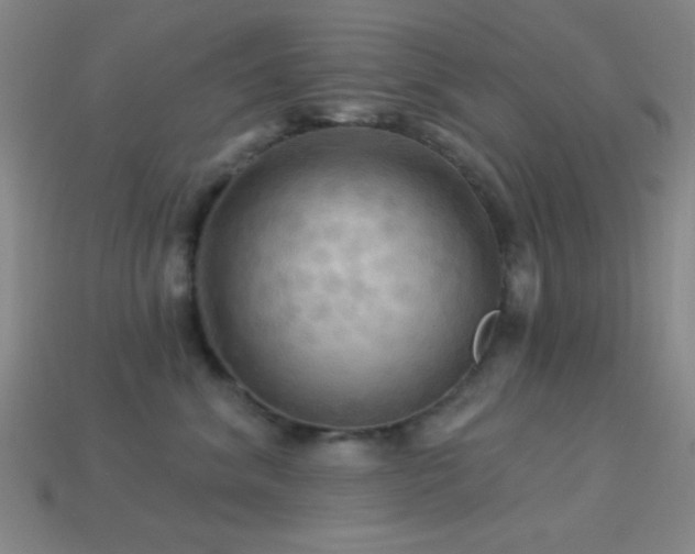 X0000113340620200909151132
