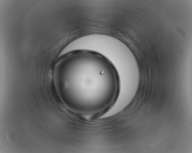 X0000113340621200909151132