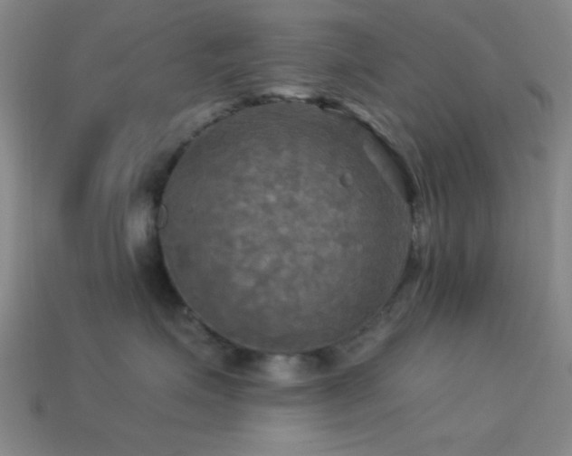 X0000113340623200909151132