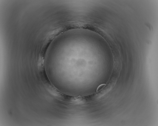 X0000113340624200909151132
