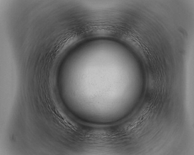 X0000113340625200909151132