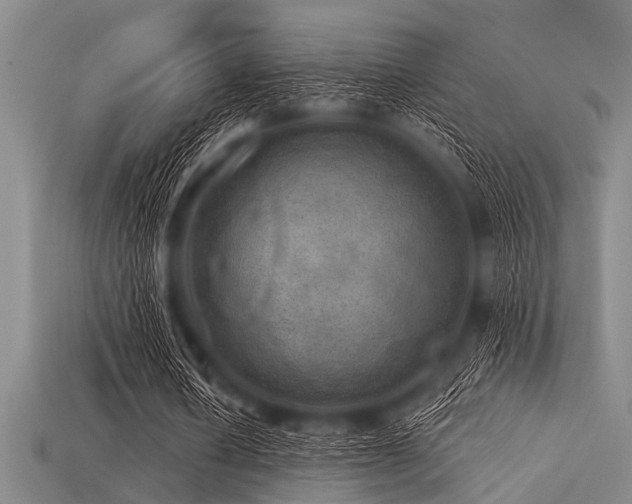 X0000113340626200909151132