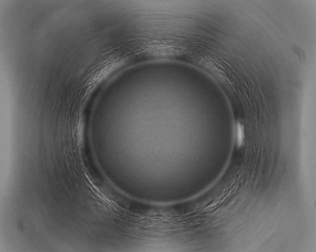 X0000113340627200909151132