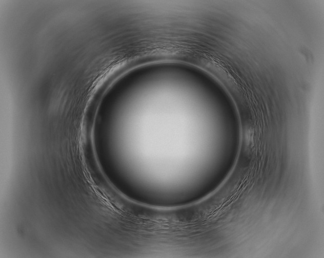 X0000113340628200909151132