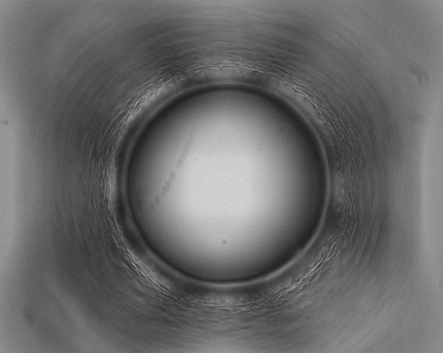 X0000113340629200909151132