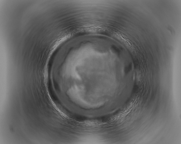 X0000113340630200909151132