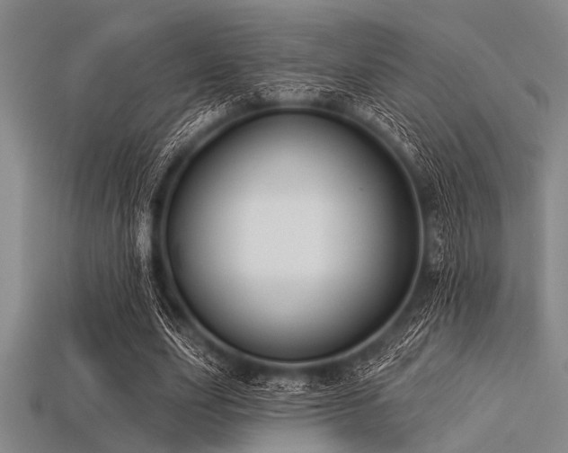X0000113340631200909151132