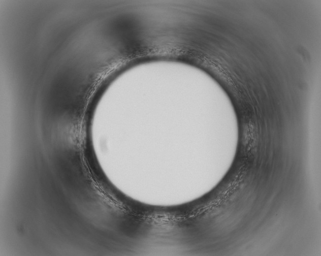 X0000113340632200909151132