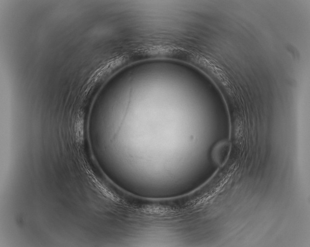 X0000113340633200909151132