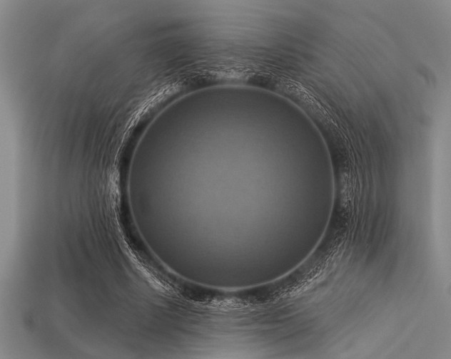 X0000113340634200909151132