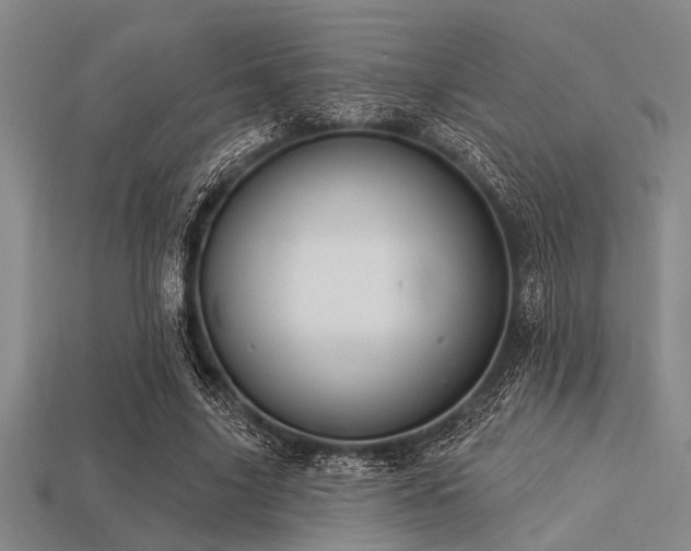 X0000113340635200909151132
