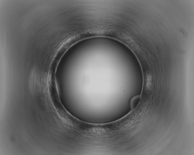X0000113340636200909151132