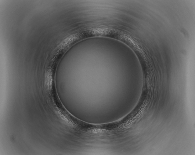 X0000113340637200909151132