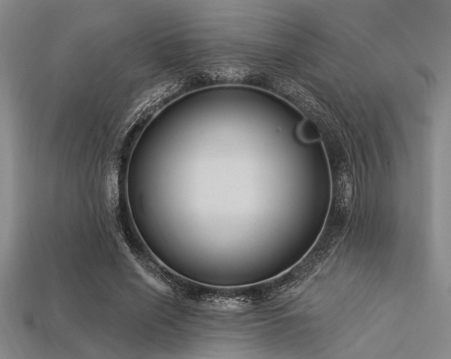 X0000113340638200909151132