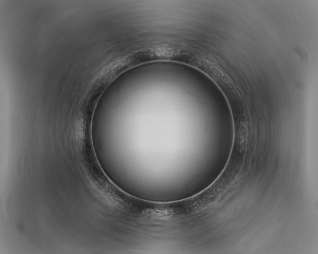X0000113340639200909151132