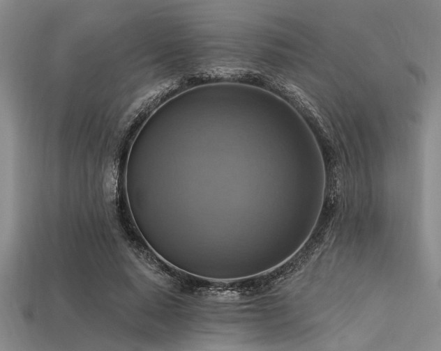 X0000113340640200909151132