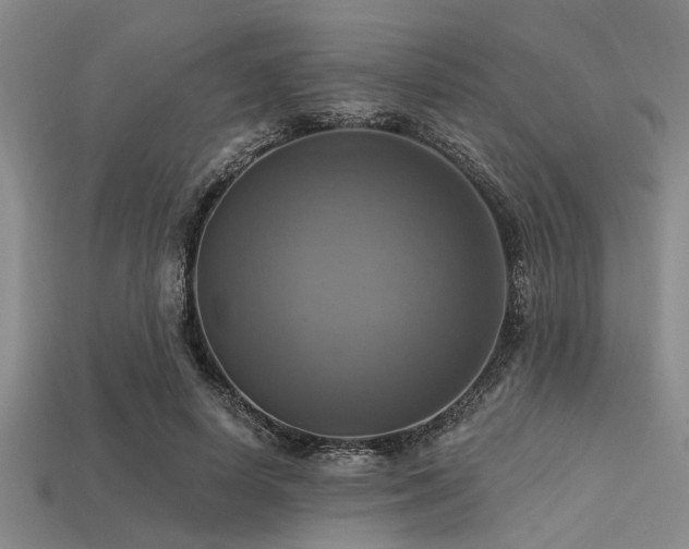X0000113340642200909151132