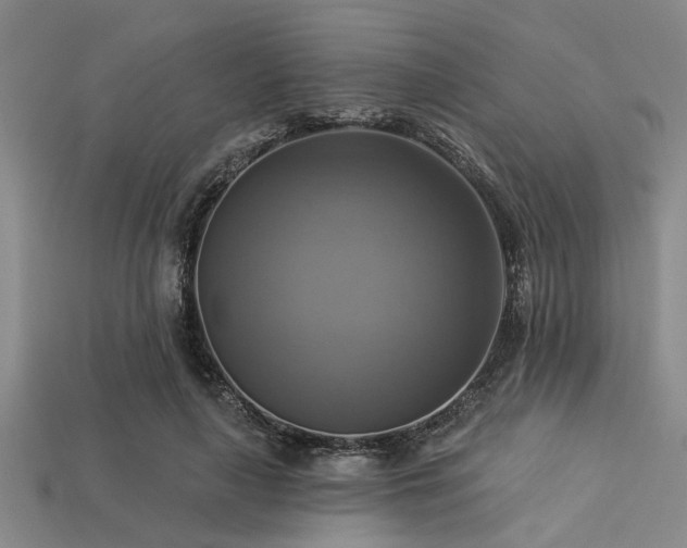 X0000113340643200909151132