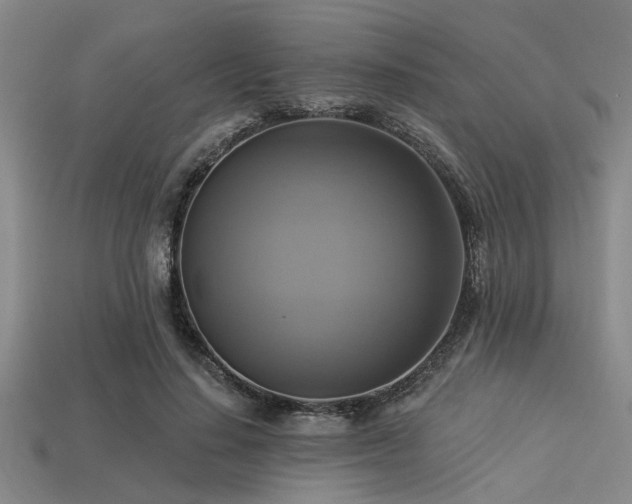 X0000113340644200909151132