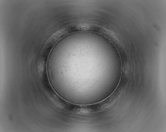 X0000113340645200909151132