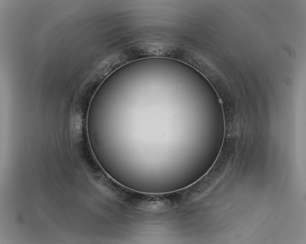 X0000113340646200909151132