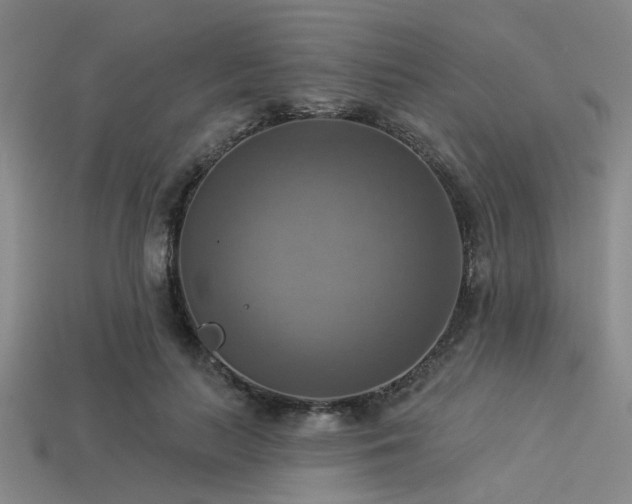 X0000113340647200909151132