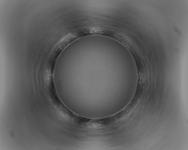 X0000113340648200909151132