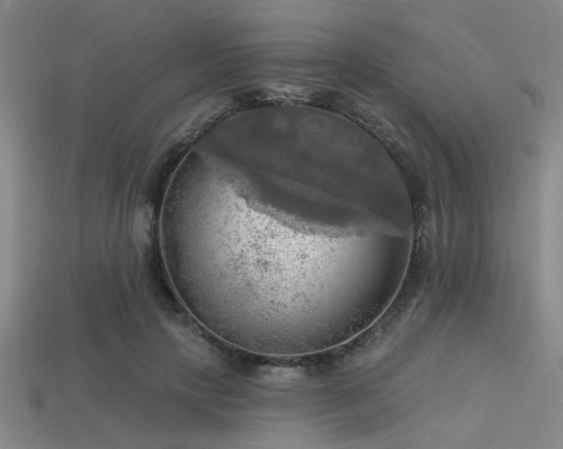 X0000113340649200909151132