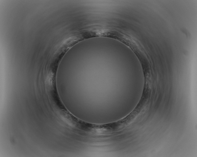 X0000113340650200909151132