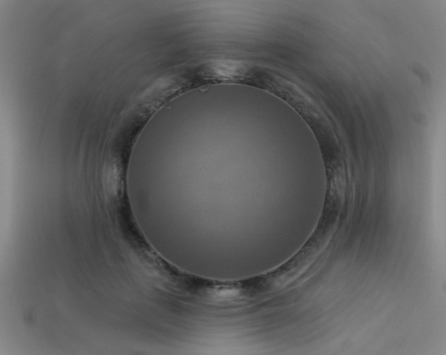 X0000113340651200909151132