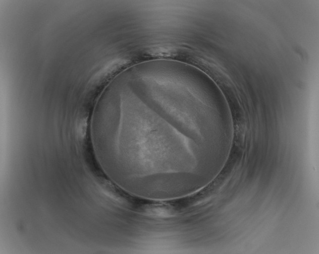 X0000113340652200909151132