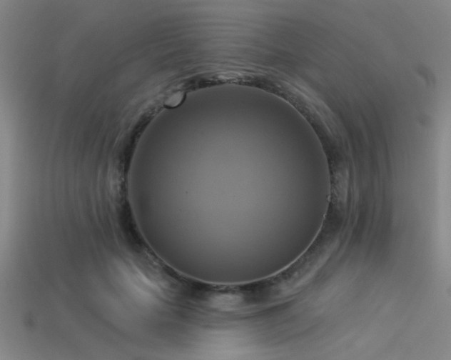 X0000113340653200909151132