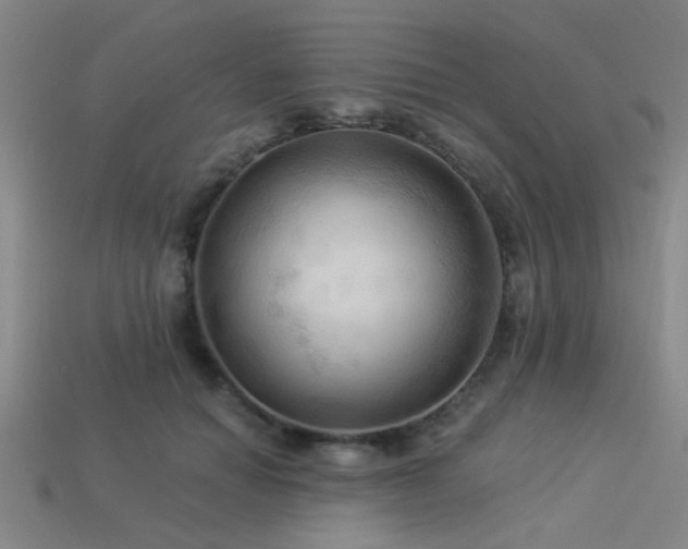 X0000113340654200909151132