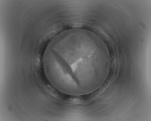 X0000113340655200909151132