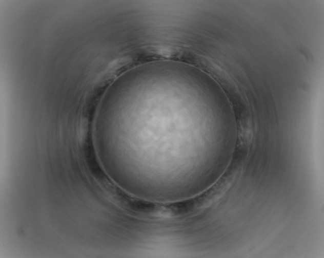 X0000113340656200909151132