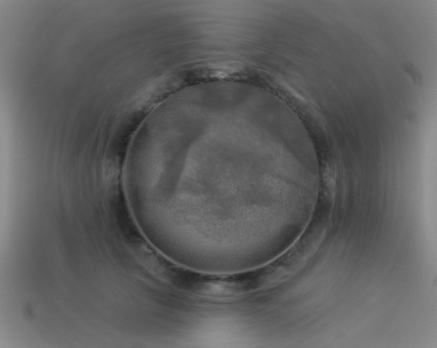 X0000113340657200909151132