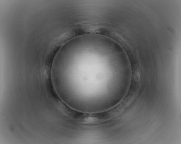X0000113340658200909151132