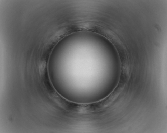 X0000113340660200909151132