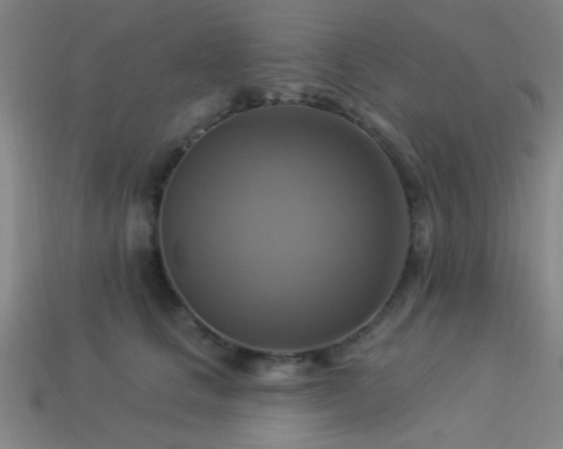 X0000113340661200909151132