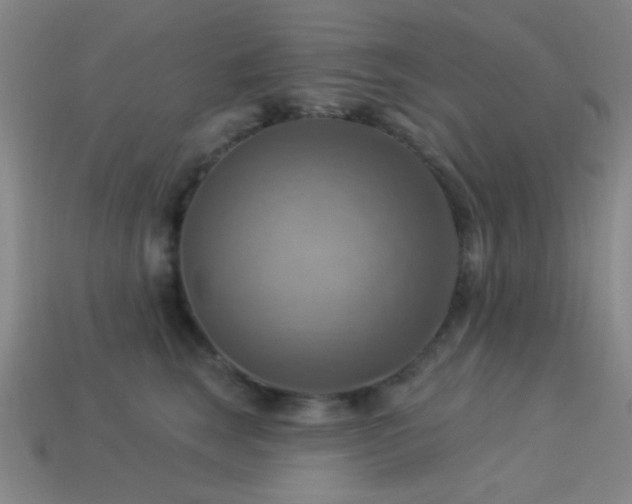 X0000113340663200909151132