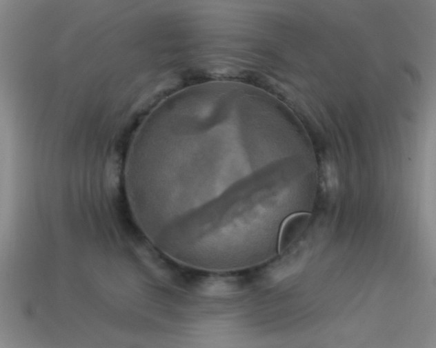 X0000113340664200909151132