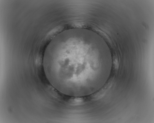 X0000113340665200909151132