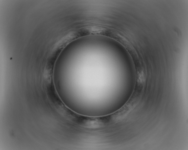 X0000113340666200909151132