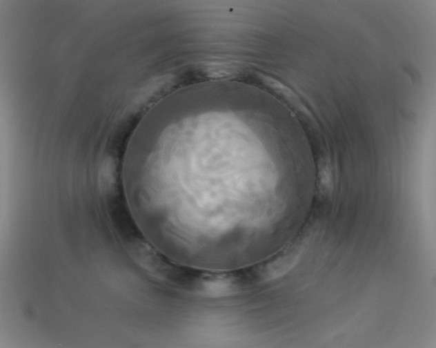 X0000113340667200909151132