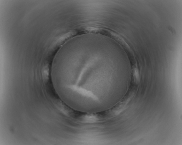 X0000113340668200909151132