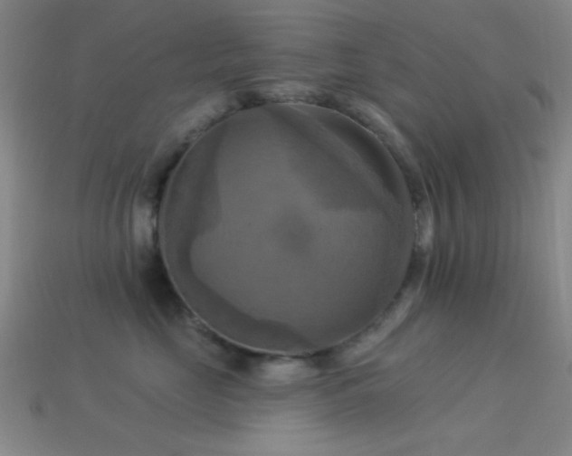 X0000113340669200909151132